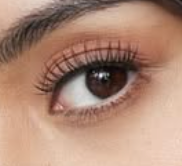 Lashtensions